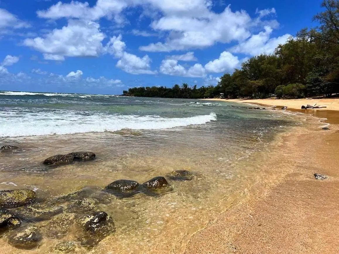Islander On The Beach 160 Kapa'a